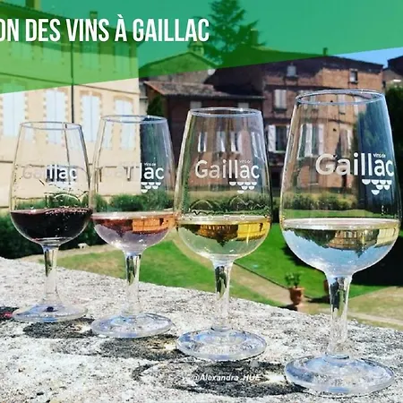 Le Duo Vigne Rouge Sauna Gaillac Entre Albi-toulouse & Les Du Tarn Brens (Tarn)
