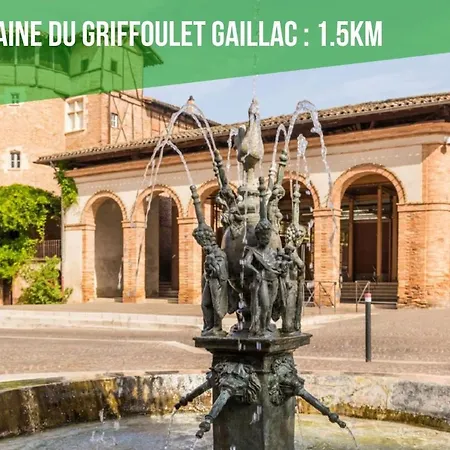 Le Duo Vigne Rouge Sauna Gaillac Entre Albi-toulouse & Les Du Tarn *
