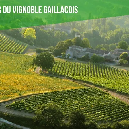Duo Vignerouge Primeur Sauna 12p Lescottagesdutarn Brens (Tarn)