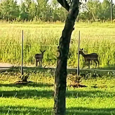 Σπίτι διακοπών Le Duo Vigne Rouge Clim Gaillac Entre Albi-toulouse & Les Du Tarn *