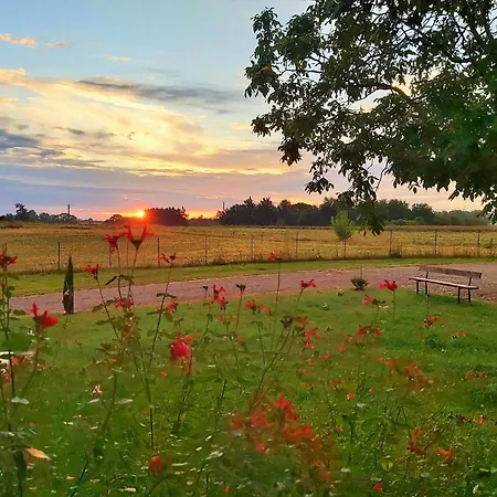Le Duo Vigne Rouge Sauna Gaillac Entre Albi-toulouse & Les Du Tarn Brens (Tarn)