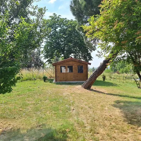 Duo Vignerouge Primeur Sauna 12p Lescottagesdutarn Ferienhaus