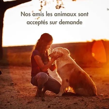 Le Duo Vigne Rouge Clim Gaillac Entre Albi-toulouse & Les Du Tarn *