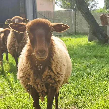 Le Duo Vigne Rouge Clim Gaillac Entre Albi-toulouse & Les Du Tarn Σπίτι διακοπών Brens (Tarn)