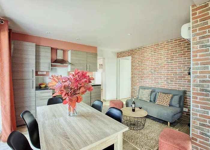 Le Duo Vigne Rouge Clim Gaillac Entre Albi-toulouse & Les Du Tarn Brens (Tarn)