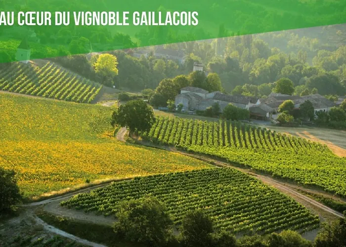 Le Duo Vigne Rouge Clim Gaillac Entre Albi-toulouse & Les Du Tarn Brens (Tarn)