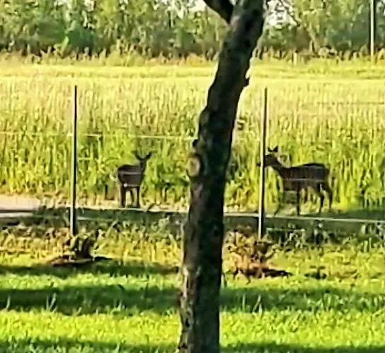 Prázdninový dům Le Duo Vigne Rouge Clim Gaillac Entre Albi-toulouse & Les Du Tarn *