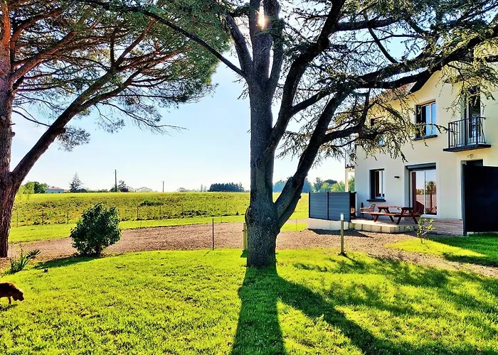 Le Duo Vigne Rouge Clim Gaillac Entre Albi-toulouse & Les Du Tarn Holiday home Brens (Tarn)