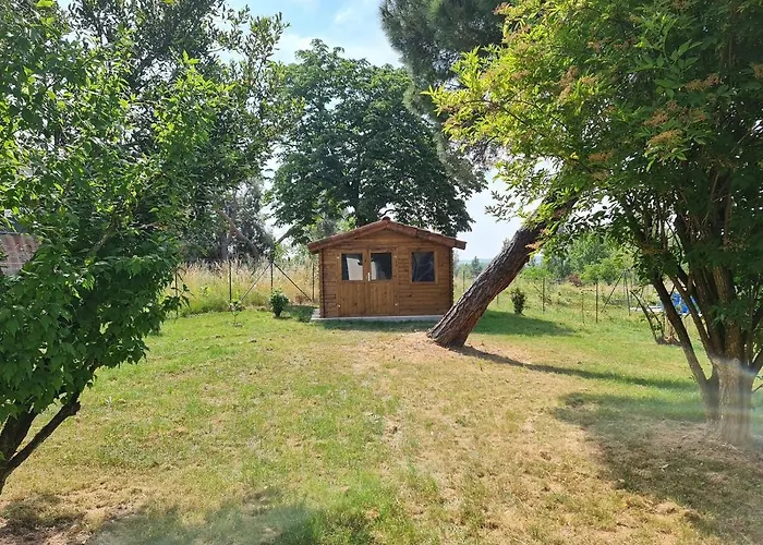 Le Duo Vigne Rouge Clim Gaillac Entre Albi-toulouse & Les Du Tarn Prázdninový dům
