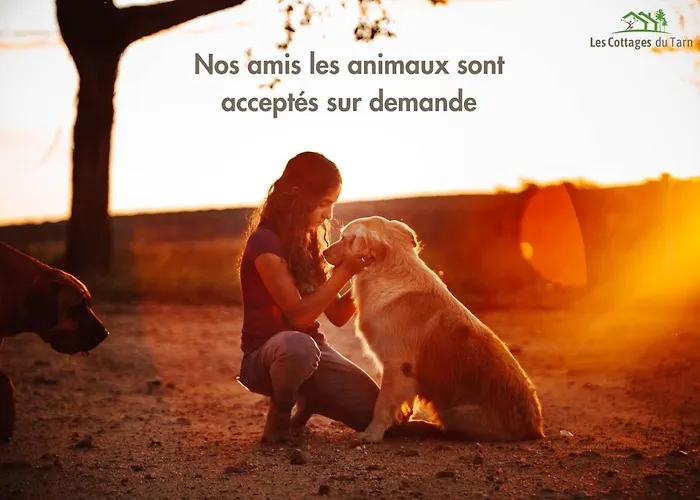 Le Duo Vigne Rouge Clim Gaillac Entre Albi-toulouse & Les Du Tarn *