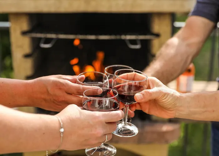 Le Duo Vigne Rouge Clim Gaillac Entre Albi-toulouse & Les Du Tarn Brens (Tarn)