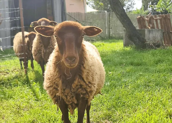 Le Duo Vigne Rouge Clim Gaillac Entre Albi-toulouse & Les Du Tarn Prázdninový dům Brens (Tarn)