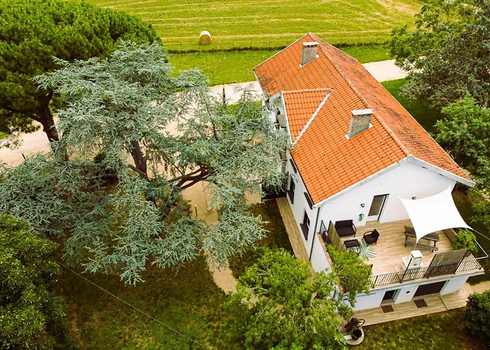 Prázdninový dům Le Duo Vigne Rouge Clim Gaillac Entre Albi-toulouse & Les Du Tarn *